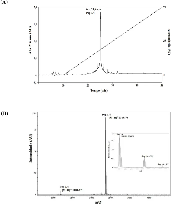 Figura 22. Perfil de purificação do peptídeo sintético Pa-MAP 1.4 (A) por meio de cromatografia em fase reversa,  coluna C18 NST, 5 µm, 250 mm x 10 mm semipreparativa