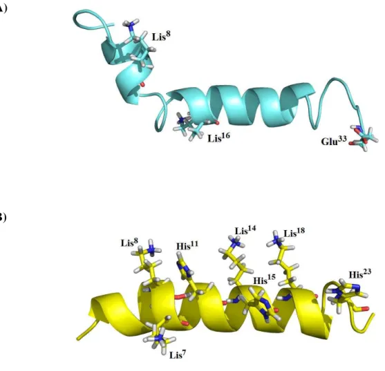 Figura  7.  Estrutura  tridimensional  do  peptídeo (A)  pardaxina  (pdb  1xc0)  e  (B)  pleuricidina  (pdb  1z64) peptídeos  catiônicos  com  atividade  antimicrobiana  contra  bactérias  Gram-positiva  e  -negativa,  apresentando  conformação  estrutural