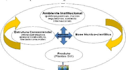 Figura 1.1: Marco Conceitual do Sistema Setorial de Inovação em Plantas Transgênicas 
