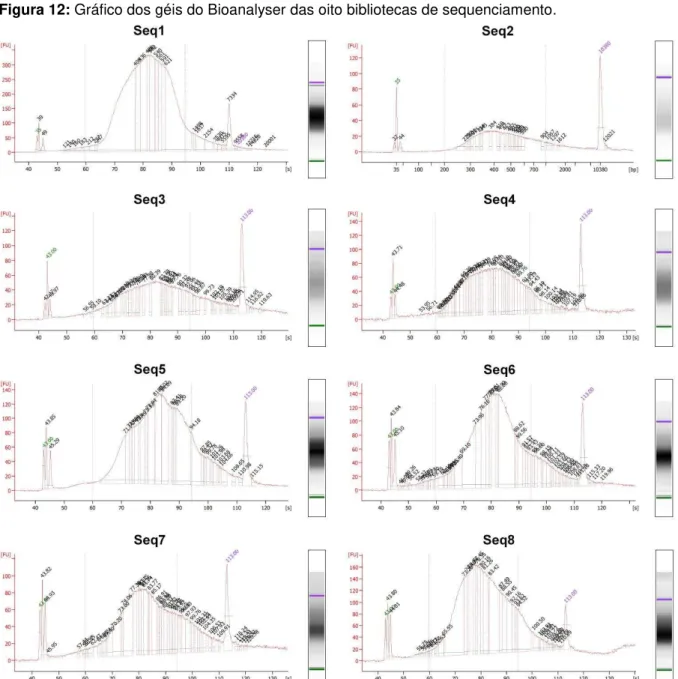 Figura 12: Gráfico dos géis do Bioanalyser das oito bibliotecas de sequenciamento.  