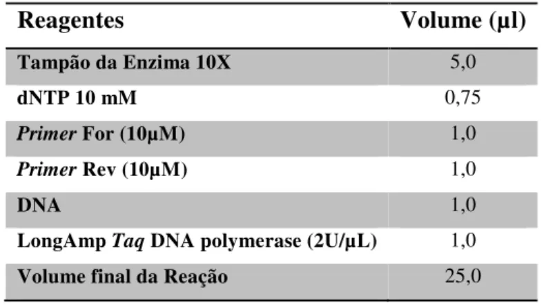 Tabela 2: Protocolo da PCR utilizada para amplificação dos genes.  Reagentes  Volume (µl)  Tampão da Enzima 10X  5,0  dNTP 10 mM  0,75  Primer For (10µM)  1,0  Primer Rev (10µM)  1,0  DNA  1,0 