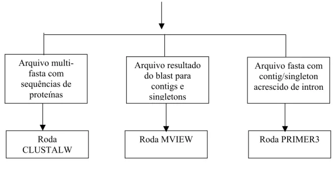 Figura 6: Fluxograma representando o pipeline 4 