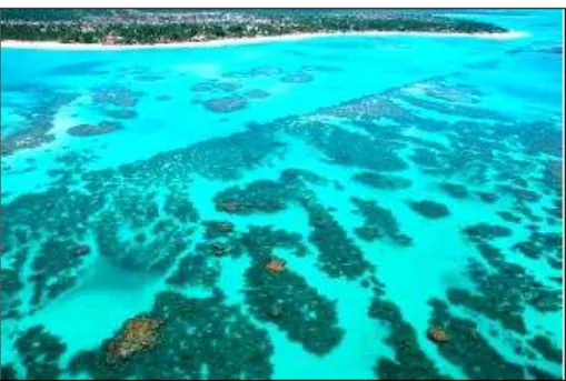 Figura 6. Vista aérea dos recifes de corais de Tamandaré, APA Costa dos Corais.  