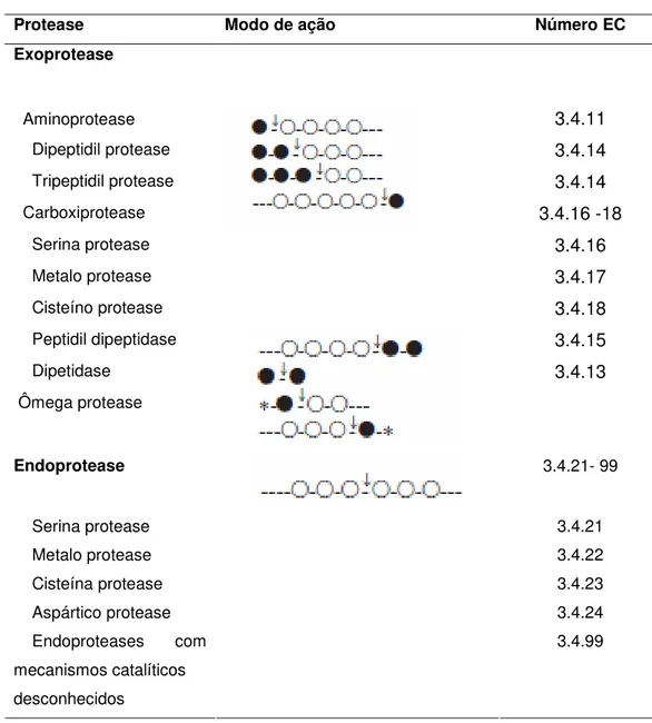 Tabela 3: Classificação de enzimas com atividade proteolítica de acordo com Rao et al