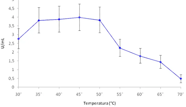 Figura 4. Efeito da temperatura na atividade proteolítica do filtrado da cultura do isolado ALL 49 na  faixa de temperatura de  30° a 70°C