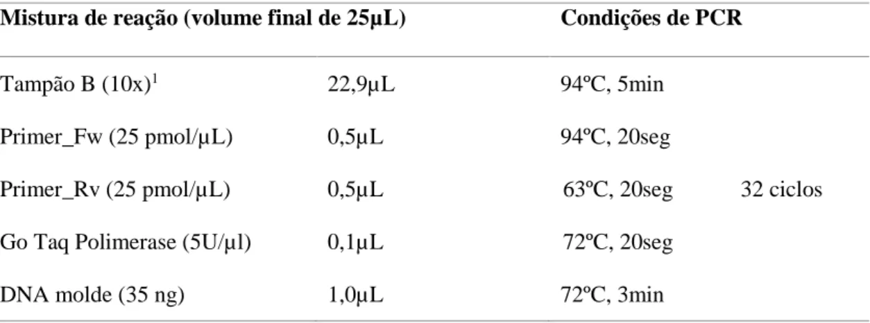 Tabela  II.1  -  Mistura  de  reação  e  condições  de  PCR  para  os  exões  do  gene  TMPRSS6  exceto o exão 16 