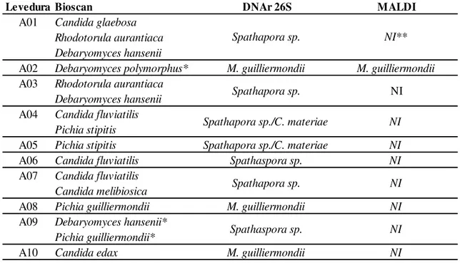 Tabela 5: Comparação pelos três metodos de identificação das leveduras selvagens. 
