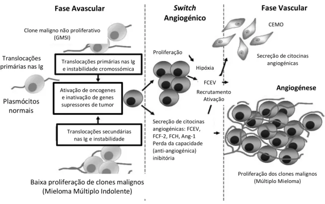 Figura 1 – “Switch” angiogénico no mieloma múltiplo; fator de crescimento endotelial  vascular (FCEV); fator de crescimento fibroblástico 2 (FCF-2); Angiopoietina -1  (Ang-1);  células  do  estroma  da  medula  óssea  (CEMO);  fator  de  crescimento  hepat