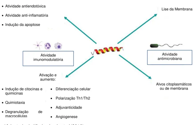Figura 7: Múltiplas atividades relacionadas a funções antimicrobianas e imunomodulatórias,  apresentadas por diversos PAMs