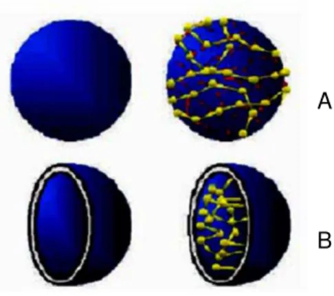 Figura 10: Nanopartículas poliméricas utilizadas como carreadores de moléculas bioativas (ilustração  esquemática)