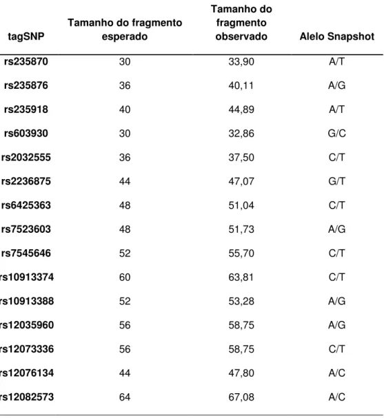 Tabela  5:Tamanhos  dos  fragmentos  esperados  e  observados  dos  15  tagSNPs  do gene MYOC obtidas após a genotipagem