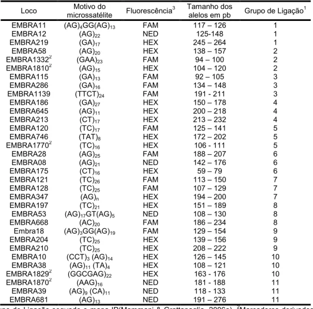 Tabela  03  ±   Microssatélites  utilizados  na  análise  de  diversidade  e  estruturação  genética  das  populações de Eucalyptus