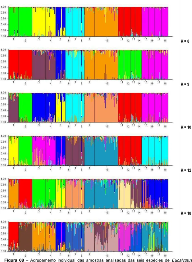 Figura  08  ±  Agrupamento  individual  das  amostras  analisadas  das  seis  espécies  de  Eucalyptus  utilizando  o  software  STRUCTURE