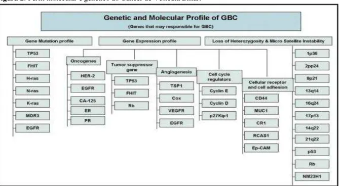 Figura 2: Perfil molecular e genético do Câncer de Vesícula Biliar.   