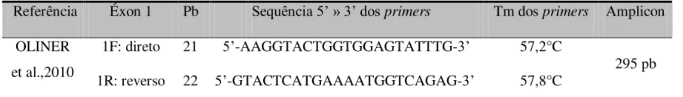 Figura  5:  Sequência  de  nucleotídeos  de  um  fragmento  contendo  o  exon  1  do  KRAS2B  (em  negrito)