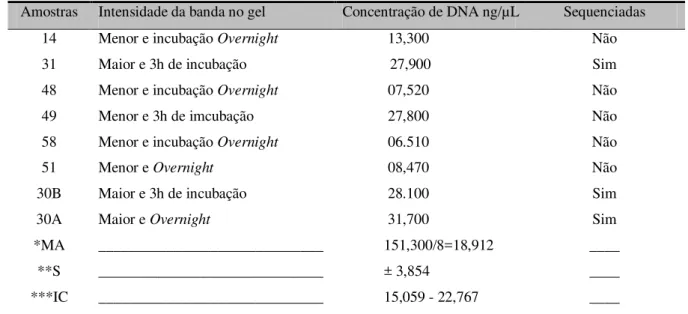 Tabela 6: Quantificação por fluorimetria de uma amostra de DNA genômico. 