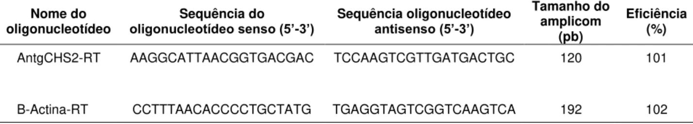 Tabela 3. Oligonucleotídeos utilizados nas reações de PCR em tempo real para análise de CHS2.