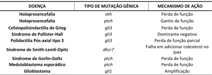 Tabela 3. Desordens humanas associadas com a desregulação da via hedgehog. 