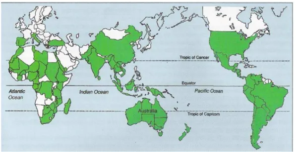 Figura 1: Distribuição dos países com plantações de eucalipto, de acordo com dados da FAO (1997)