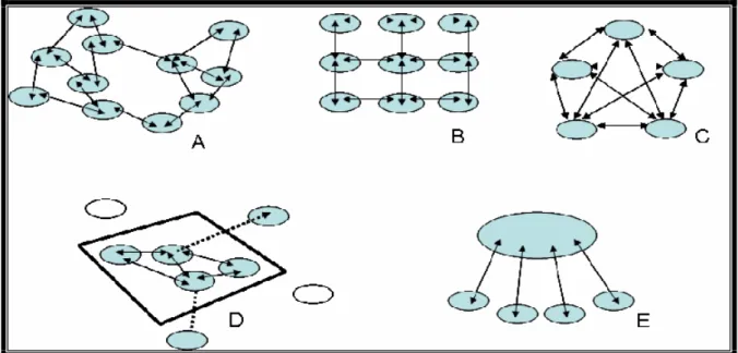 Figura  2:  cinco  diferentes  modelos  de  estrutura  de  população:  A)  isolamento  por  distância;  B)  stepping-stone;  C)  modelo de ilhas; D) metapopulação; E) source-sink.(Adaptado: Frankham