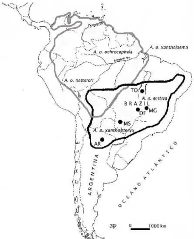 Figura 4: Locais de obtenção das amostras de Amazona aestiva (Ver abreviação Tabela 1)  