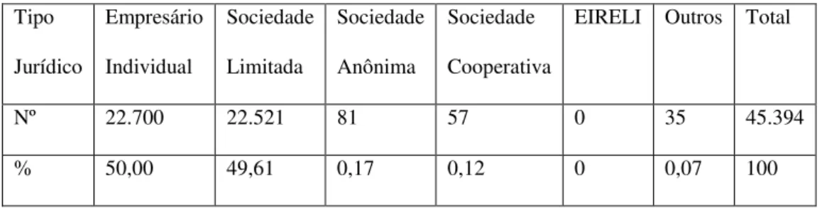 Tabela 2  –  Constituição por Tipo Jurídico  –  Rio Grande do Sul  –  2012. 