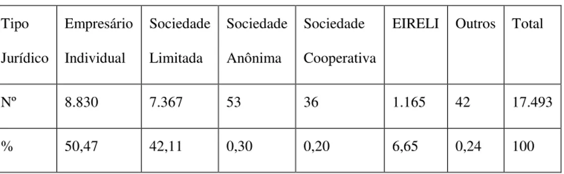 Tabela 8  –  Constituição por Tipo Jurídico  –  Pernambuco  –  2012. 