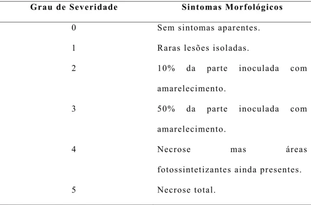 Tabela 1: Grau de severidade de sintomas de  X. gardneri  em plantas de  A. thaliana 