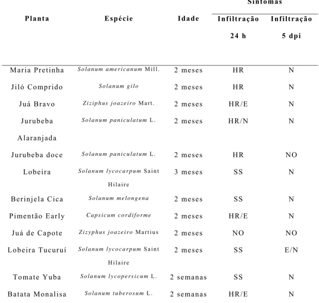 Tabela 4: Respostas observadas após diferentes tempos em solanáceas  inoculadas através de infiltração por seringa com Xanthomonas gardneri  CNPH 467 em suspensão de 5 x 10 8  UFC/mL