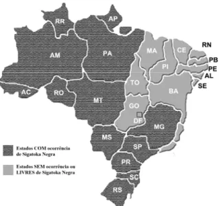 Figura 3- Ocorrência de Sigatoka negra no Brasil 