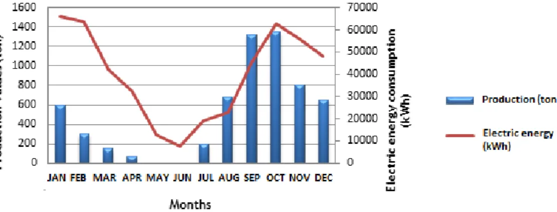 Figure 3 - Seasonal activity profile of F20 industrial plant (fruit centrals with controlled  atmosphere)