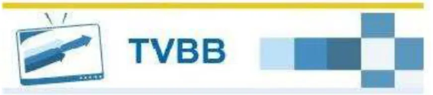Figura 6  –  Marca da TVBB na intranet do Banco 