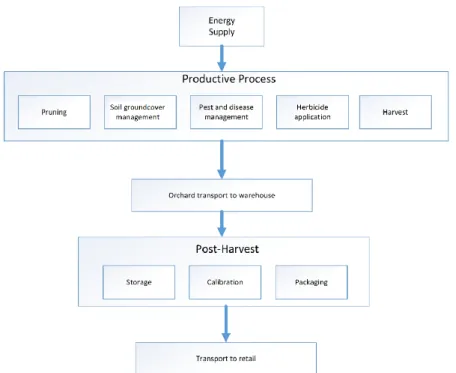 Figure 1. System limits associated with the cultivation of peach. 