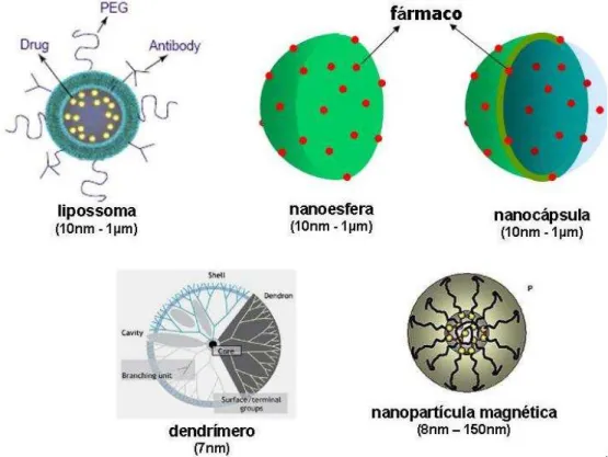Figura 1: Esquemas representativos de tipos de nanopartículas. Observar os diferentes  tamanhos e suas respectivas áreas para conjugar princípios ativos e fármacos