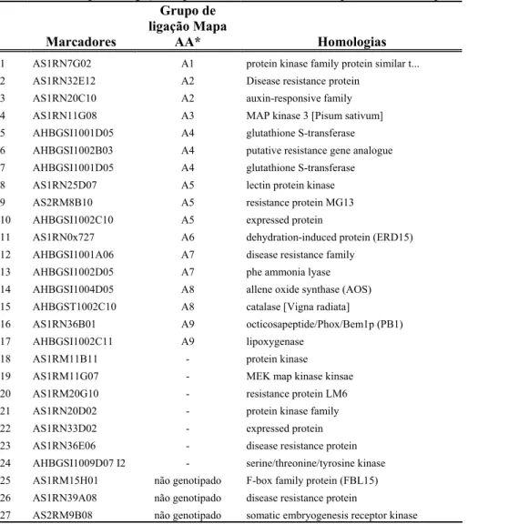 Tabela 1.8 – Grupos de ligação a qual os marcadores foram mapeados e suas respectivas homologias