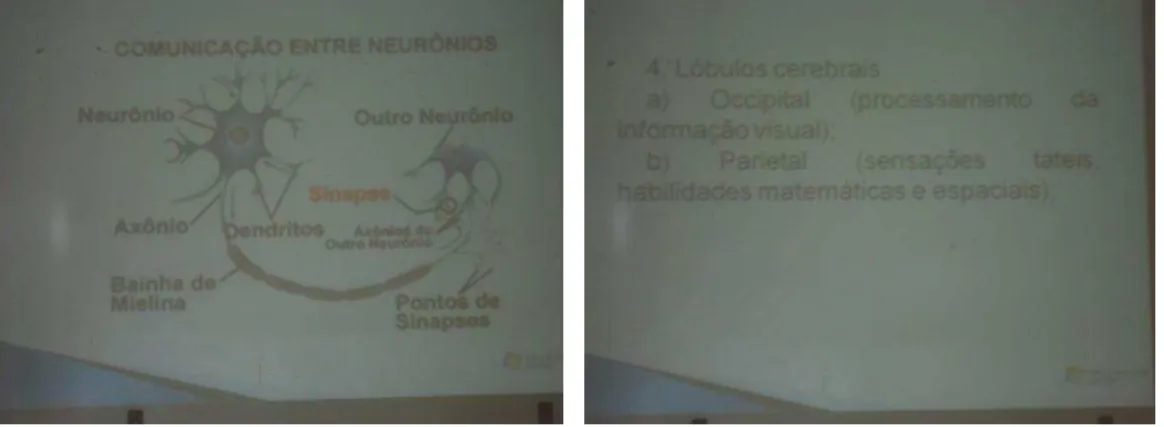 Foto 7 – Comunicação entre os Neurônios.          Foto 8  –  Lóbulos responsáveis pelas sensações,   processamento das informações visuais