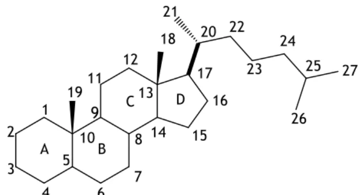 Figura 1-Estrutura química e numeração do esqueleto esteroide. 