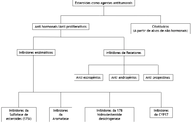 Figura 4-Esteroides como agentes antitumorais. 