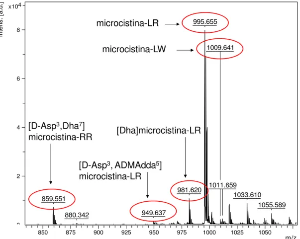 Figura 9. Espectro de massa obtido por MALDI-TOF/TOF da fração eluída em cromatografia por HPLC do extrato de  M