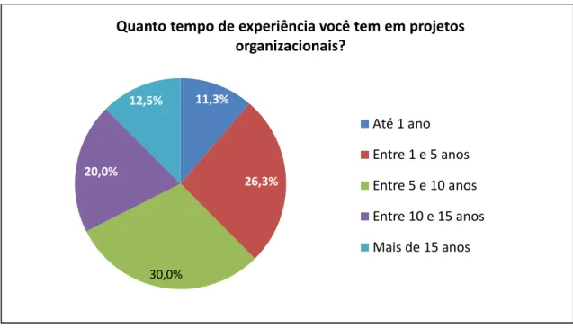 Gráfico 4 - Experiência dos respondentes desta pesquisa 