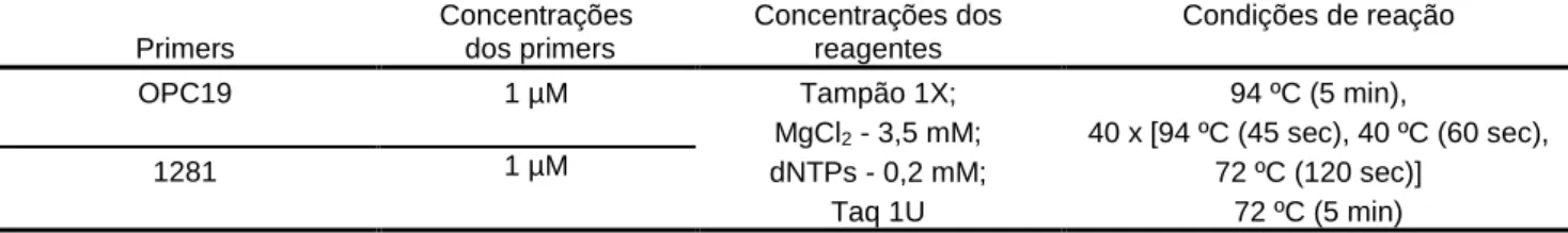 Tabela 5. Condições de reação de PCR utilizados na tipificação genómica. 