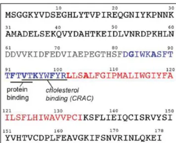 Figure  7:  Amino  acid  sequence  of  caveolin-1  (Cav1).  The  topology  of  this  protein  can  be  divided  into  domains:  an  oligomerization  domain  (residues  61-101;  black  and  blue)  with  a  caveolin  scaffolding  domain  (CSD; residues 82-10