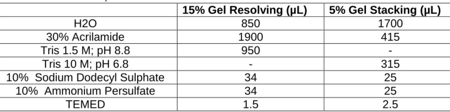 Table 1: SDS-PAGE components. 