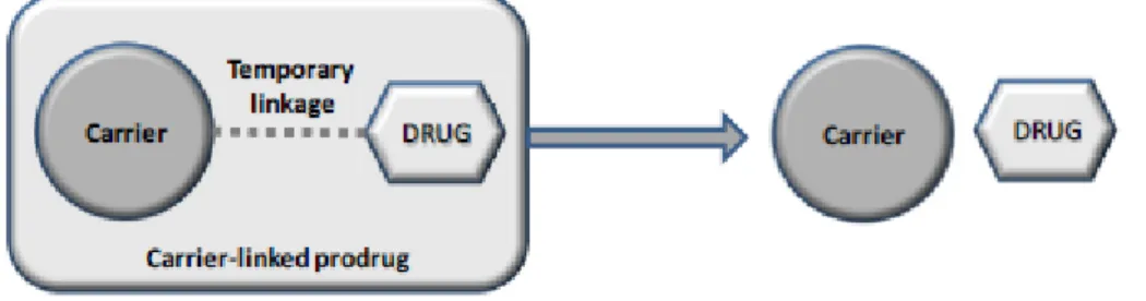 Figure 3 - Schematic representation of a carrier-linked prodrug, adapted from (18) 