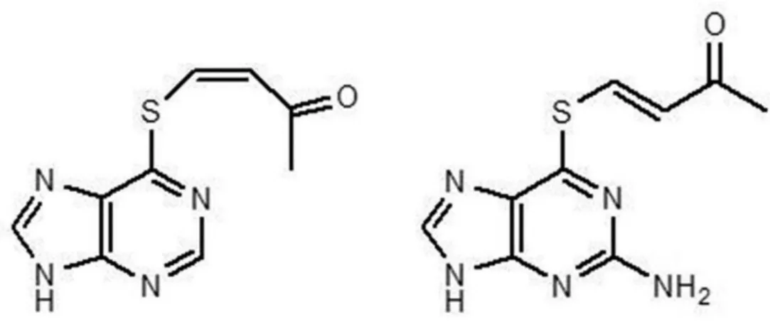 Figure 12 - AVTP and AVTG, adapted from (52) 