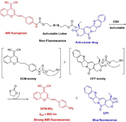 Figure 15 - GSH-responsive DCM-S-CPT activation with strong NIR fluorescence,  adapted from (57) 