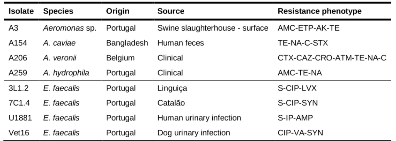 Table 1 – Aeromonads and enterococci chosen for this study. 