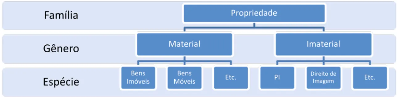 Figura 4: “Sistemática” da Propriedade 
