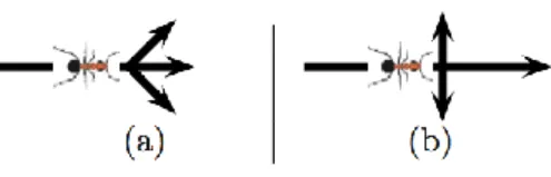 Fig. 2.1:Exemplo de formiga em movimento obliquo (a) e em ângulo reto (b) (fonte: Monmarché, 2008) 