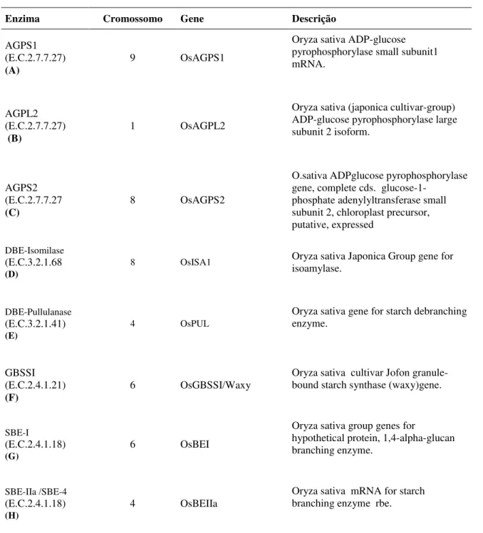 Tabela 2- Enzimas das via metabólica de amido e respectivos locos gênicos no genoma de  arroz utilizadas no  desenvolvimento de marcadores microssatélites para seleção assistida para qualidade de grãos
